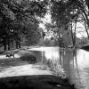 Scene on the Canal