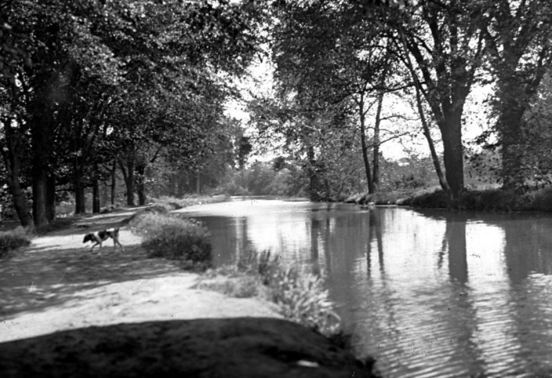 Scene on the Canal