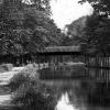 Scene on the Canal (Summer)