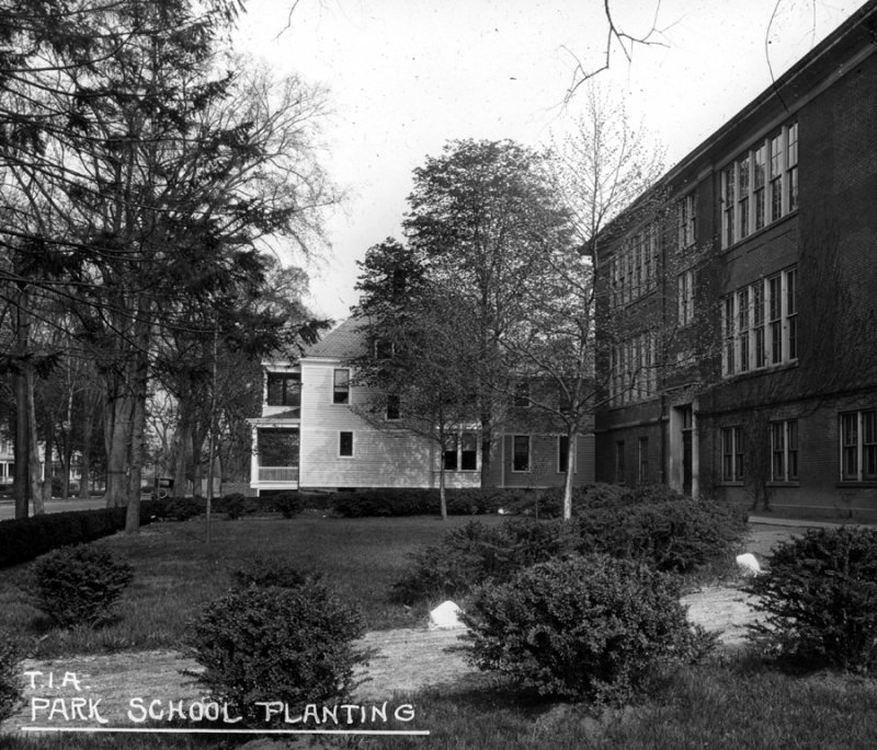 TIA Park School Planting