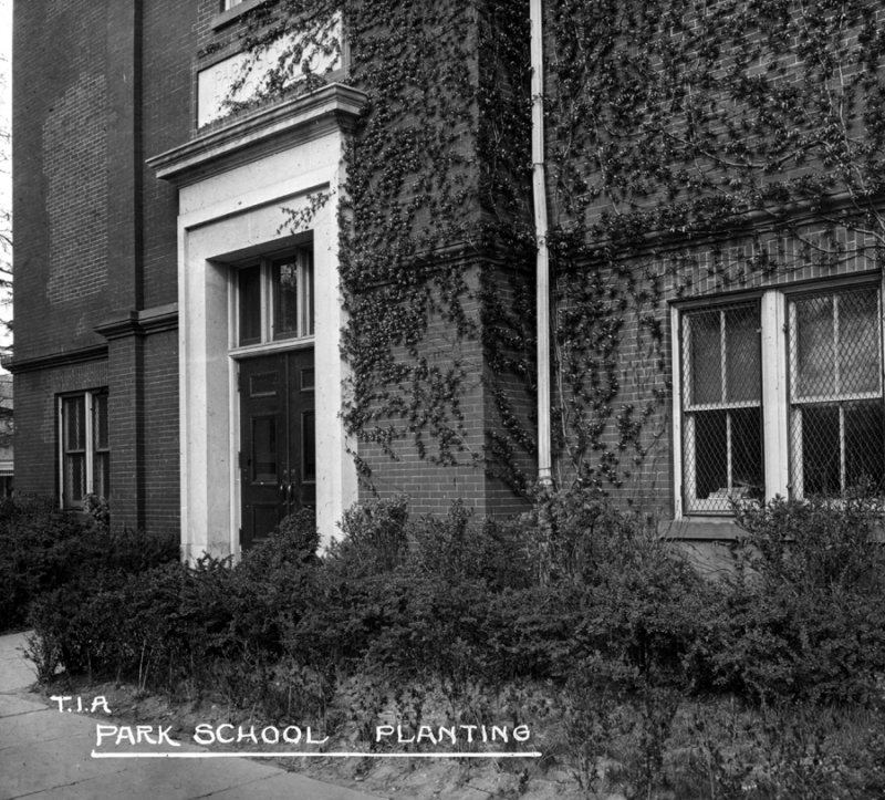 TIA Park School Planting