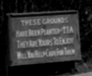 High School Planting Plaque
